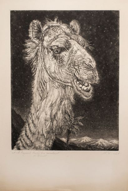 null Wiiralt Edouard (1898-active in the 1930s)


The Camel, 2nd state


Etching...