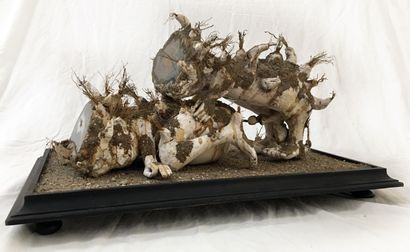 null Jan SVANKMAJER (né en 1934). Agates copulantes, 1994. Sculpture, technique mixte,...
