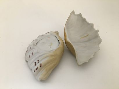 null OBJECT. System shell, 12 x 7 x 6 cm.