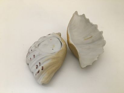 null OBJET. Coquillage à système, 12 x 7 x 6 cm.