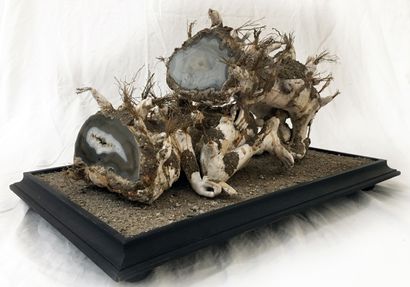  Jan SVANKMAJER (né en 1934). Agates copulantes, 1994. Sculpture, technique mixte,...