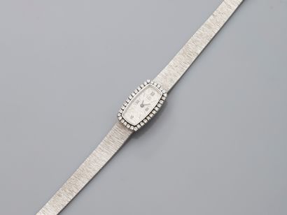 null UTI, Bracelet montre de dame en or gris, 750 MM, fond or gris, lunette ovale/tonneau,...