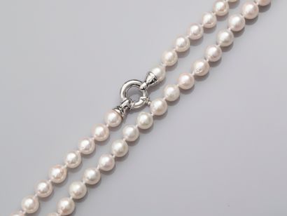 null Sautoir de 105 perles de culture du Japon, ., 8,5 / 9 mm, fermoir gros anneau...