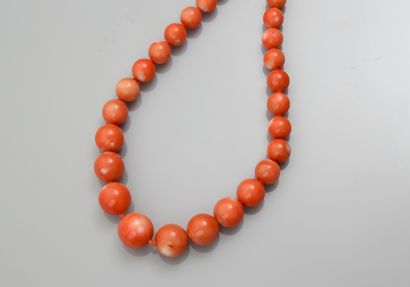 null Long collier de perles de corail naturel, diamètre 10 / 19 mm, fermoir gros...