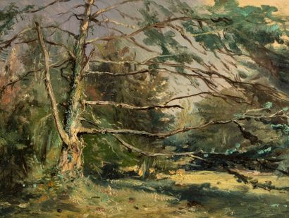 null 
Pierre Olivier Joseph Coomans (1816-1889)
The Dead Tree, landscape in a coniferous...