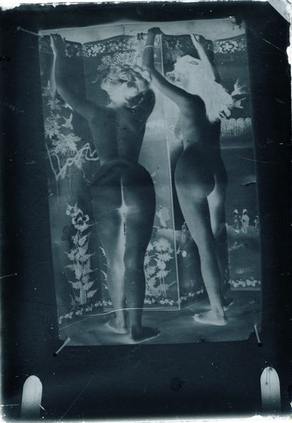 null [Photographe non identifié]. Études de nu et pornographies, vers 1920. 12 plaques...