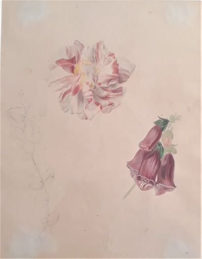 null 
Charles-Etienne CORPET (1839-1903)




 Ebauche de fleurs 




Aquarelle et...