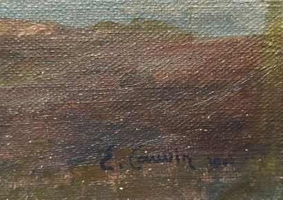null Edouard Louis Cauvin (1817-1900)

Paysage côtier

Huile sur toile

33x55 cm