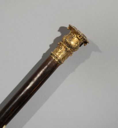 null Exceptional walking stick or cane in palm and vermeil.

The rod is girded in...