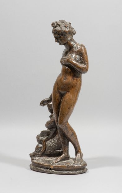 null 
Vénus et Cupidon chevauchant un dauphin




bronze, patine brune




Italie...