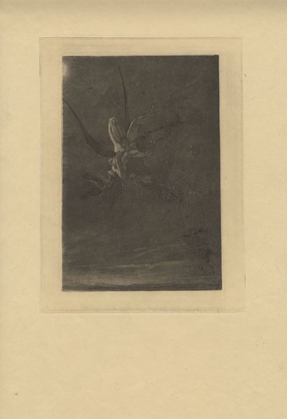 null 
Félicien ROPS. SET OF 5 PLATES FROM THE SATANIC SERIES. Plate 1 : Satan sowing...