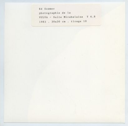 null SUISSE. Ed. SOMMER (1932-2015). Compositions, vers 1985. 17 épreuves argentiques...