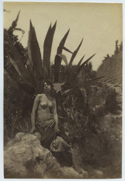 null Wilhelm von GLOEDEN (1856-1931). Nu au cactus, vers 1885. Épreuve d'époque sur...