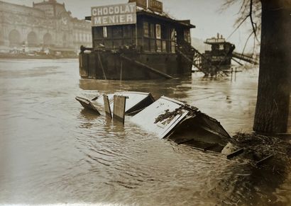 null Paris - The floods of 1910 

"Roulotte transported by the floods to the royal...