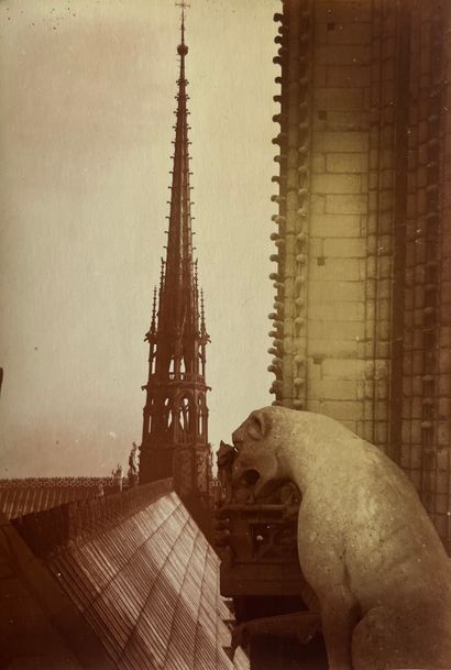 null Notre-Dame de Paris 

On the roof : view of the spire and gargoyles, c. 1940...
