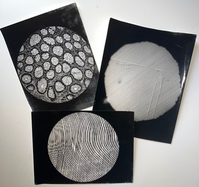 null Science

Microscopic views, c. 1950

3 silver prints from the period, stamped...
