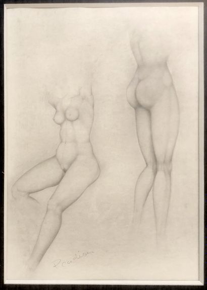 null P. CADION. Nude Studies, circa 1960. Pencil drawing, 42 x 30 cm, signed lower...