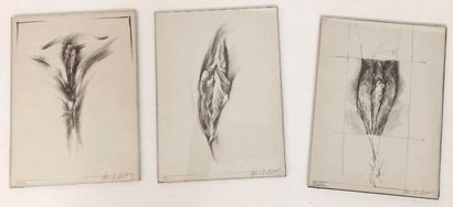 null Henri RICHELET. Foufounes, around 1990. 6 pencil drawings, 19 x 14 cm. Under...