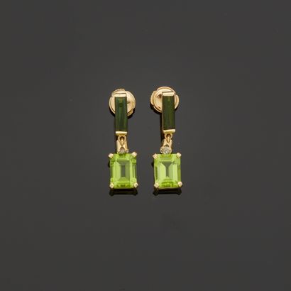 Yellow gold earrings, 750 MM, adorned with...
