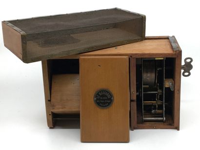 null FLY TRAP. The Muscamor fly trap, Toulon, circa 1900. Wooden box, wire mesh and...