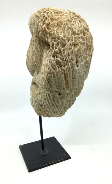 null TIMOR, ATONI ETHNIC GROUP. Mountain fossil coral ancestor mask, 23 x 18 cm,...