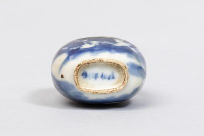 null Tabatière oblongue en porcelaine blanche décorée en bleu cobalt sous couverte...
