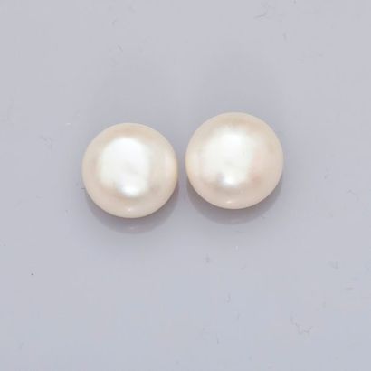 null Boucles d’oreilles en argent 925 MM, chacune ornée d’une perle bouton blanc...
