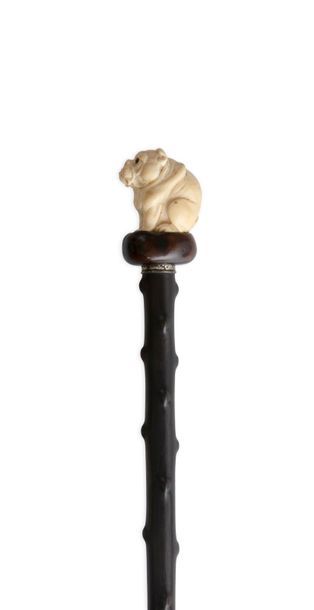 null Canne à pommeau en ivoire sculpté représentant un bouledogue assis. Yeux en...
