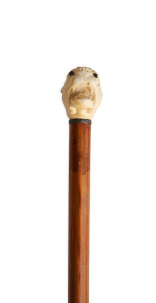 null Forte canne à pommeau en ivoire sculpté représentant une tête de bouledogue....