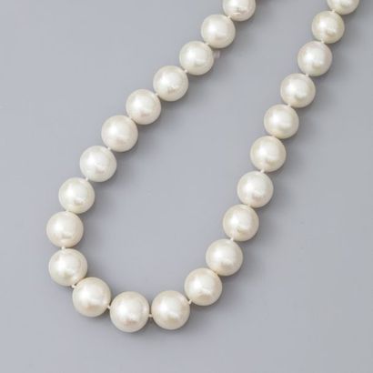 null Collier de jolies perles de culture d'eau douce, diamètre: 12 à 15 mm, fermoir...