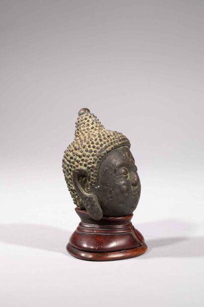 null Tête de Buddha coiffée de fines bouclettes et surmontée de l'usnisha. Bronze....
