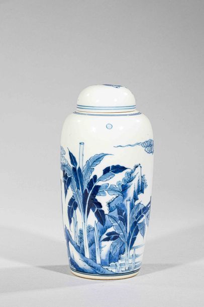 null Haute potiche cylindrique couverte en porcelaine blanche décoré en bleu cobalt...