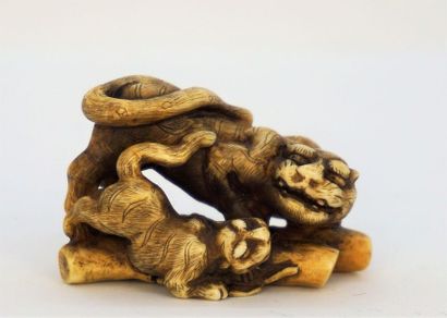 null Netsuke  
Tigre aux bamboux en ivoire, non signé. 19e siècle. 2, 8 cm