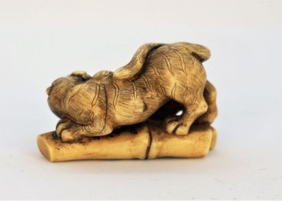 null Netsuke  
Tigre aux bamboux en ivoire, non signé. 19e siècle. 2, 8 cm