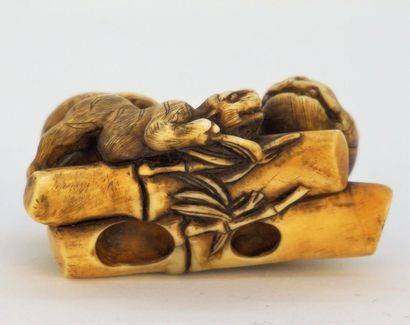 null Netsuke  
Tigre aux bamboux en ivoire, non signé. 19e siècle. 2, 8 cm