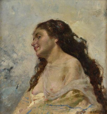 null Louis Joseph Raphaël COLLIN (1850-1916).
Femme en buste au châle transparent.
Huile...