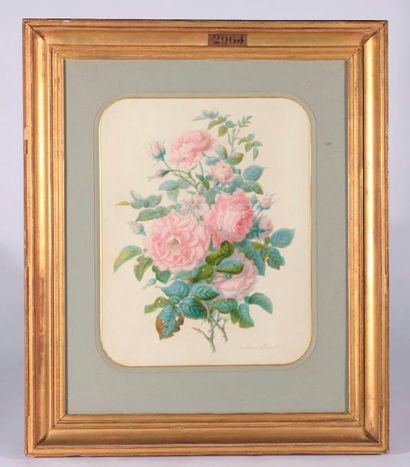 null Marie HENRIET (XIXe siècle).

Roses.

Aquarelle signée en bas à droite.

Haut....