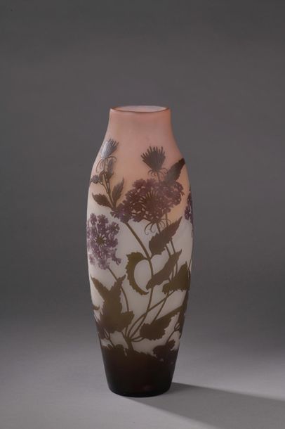 null Établissements GALLÉ (1904 - 1936). 



Grand vase légèrement renflé en verre...