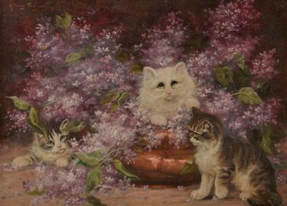 null Albert TOEFAERTS (1856 - 1909).

Les chats aux lilas.

Huile sur toile signée...