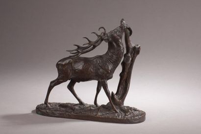 null Pierre-Jules MÈNE (1810-1879).
Cerf à la branche.
Bronze à patine brune signé...