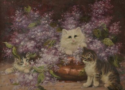 null Albert TOEFAERTS (1856-1909).
Les chats aux lilas.
Huile sur toile signée et...