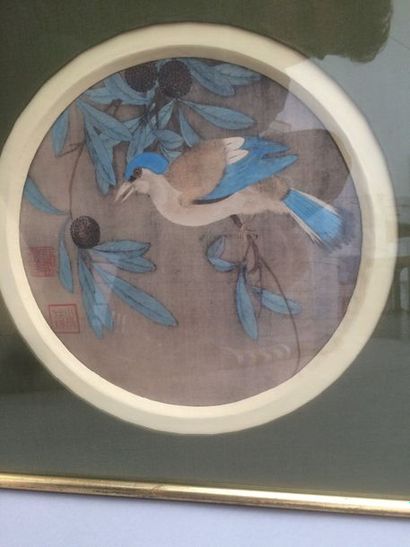 null École chinoise du XIXe siècle.
Geai branché. 
Peinture sur soie, vue circulaire,...