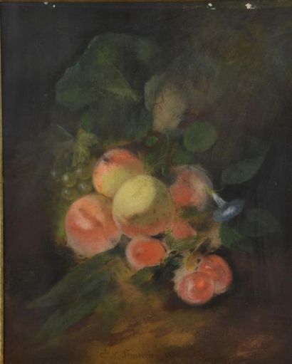 null Charles-Nicolas LEMERCIER (XIXe siècle).
Fleurs et fruits.
Deux pastels signés...