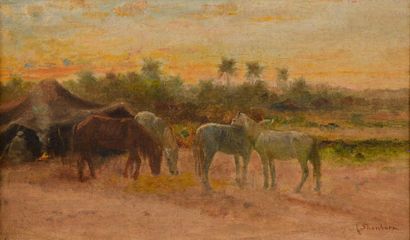 null John-Lewis SHONBORN (1852-1931).
Chevaux au campement.
Huile sur carton signée...