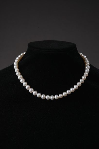 null *Ensemble de 32 collier ras du cou comprenant:
- 4 colliers ras du cou de perles...