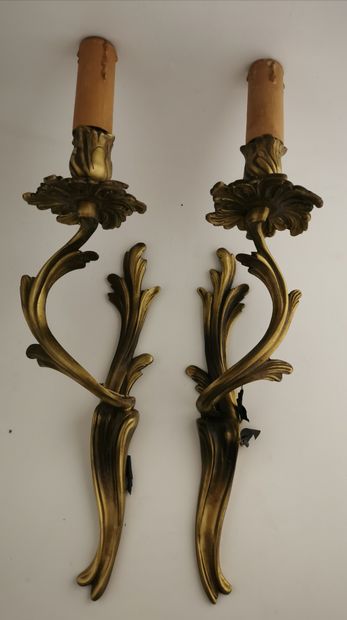 Deux appliques type bronze, motif feuill...