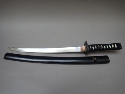 null Wakizashi, Shinto vers 1700. Tsuba en fer ajouré en forme de fleur de cerisier....