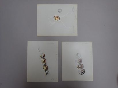 null Sept dessins de bijoux gouachés sur calque en suite à motifs circulaires ou...