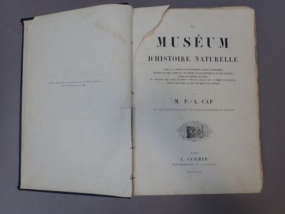 null CAP (Paul-Antoine GRATACAP dit). Le Muséum d'Histoire Naturelle. Paris, Curmer,...