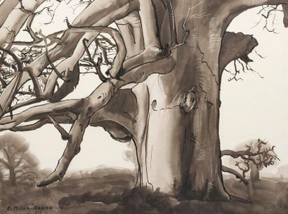 null Elie MILLER - RANSON (1907-1989). Etude de baobabs. Encre de Chine sur papier,...